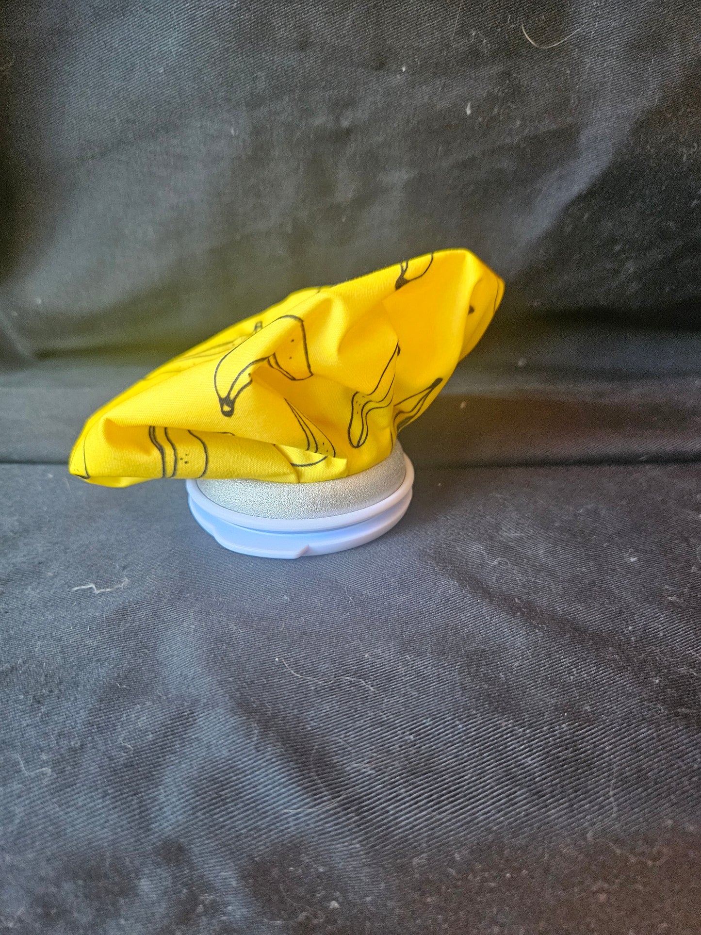 Re-usable ice bags