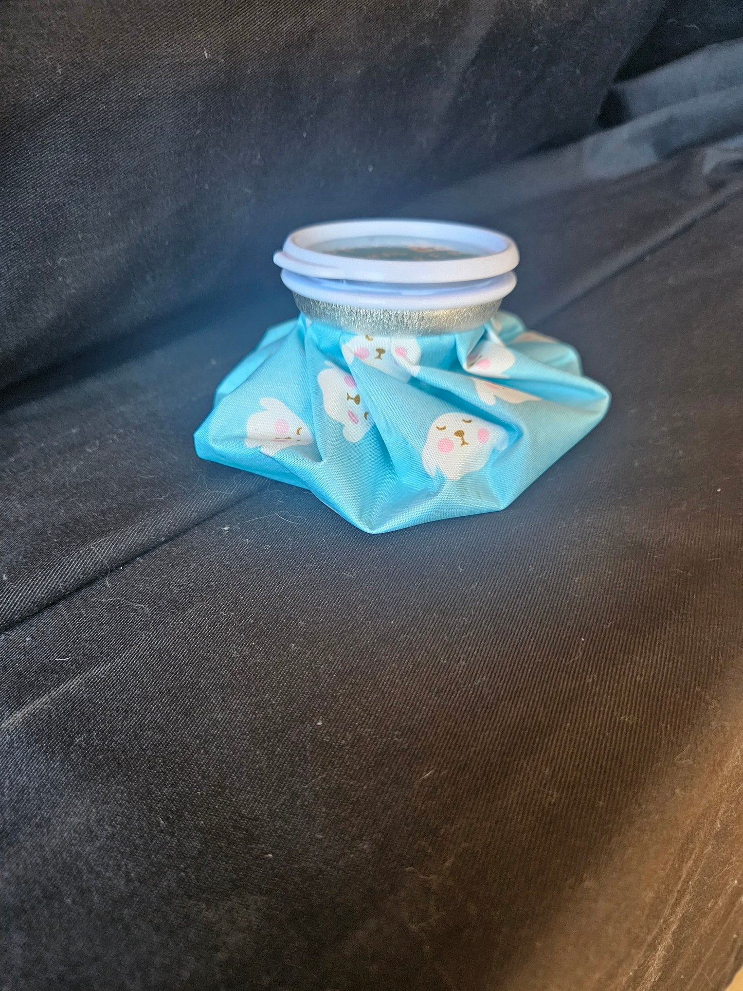 Re-usable ice bags