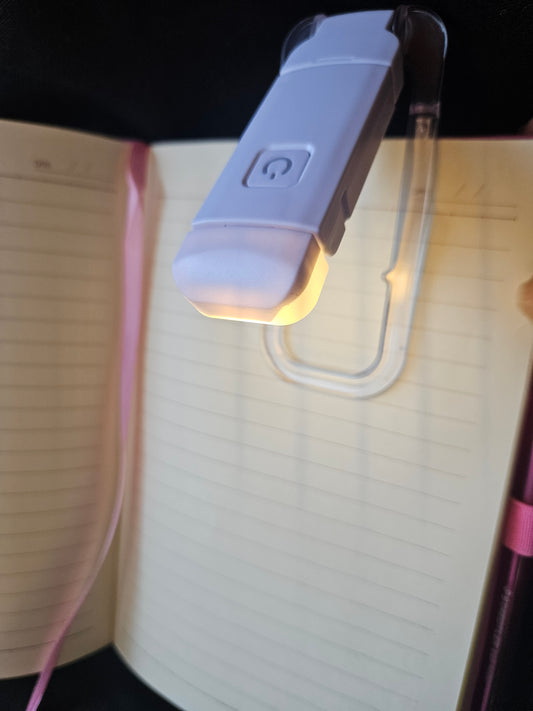 Travel reading light